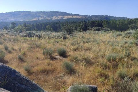 Terra a Sernancelhe, Viseu, Sernancelhe - € 60.000 | Ref: 147141 - foto 11