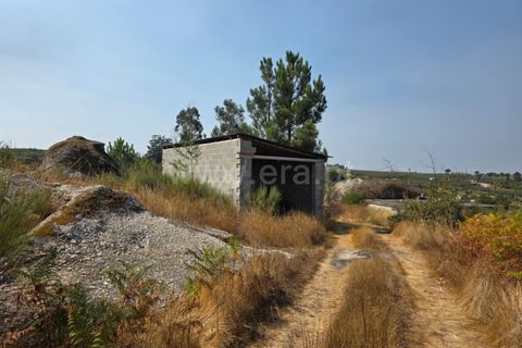 Farm i Seia, Guarda, Seia - € 130.000 | Ref: 382250089 - foto 2