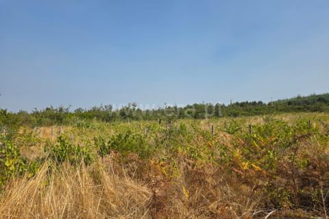 Farm i Seia, Guarda, Seia - € 130.000 | Ref: 382250089 - foto 4