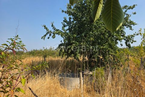 Farm i Seia, Guarda, Seia - € 130.000 | Ref: 382250089 - foto 6