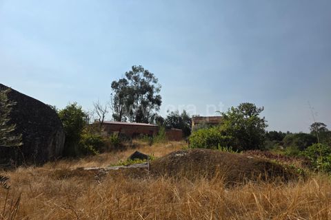 Farm i Seia, Guarda, Seia - € 130.000 | Ref: 382250089 - foto 8