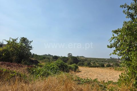Farm i Seia, Guarda, Seia - € 130.000 | Ref: 382250089 - foto 9