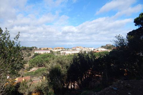 Terra a Begur, Gerona, Begur - € 220.000 | Ref: 3014 - foto 4