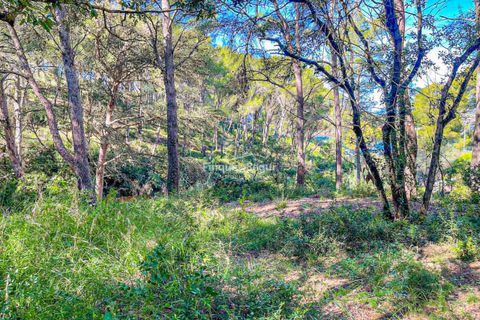 Helårsgrund i Begur, Gerona, Begur - € 500.000 | Ref: 3108 - foto 7