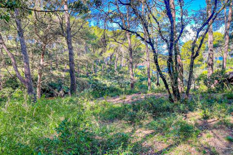 Helårsgrund i Begur, Gerona, Begur - € 500.000 | Ref: 3108 - foto 8