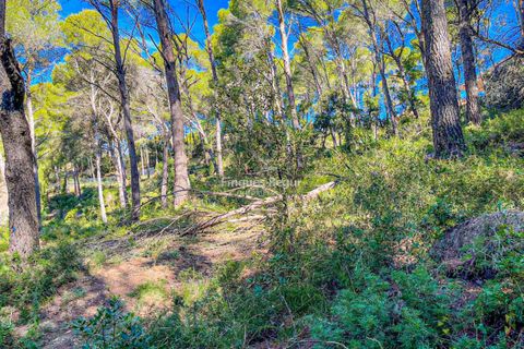 Helårsgrund i Begur, Gerona, Begur - € 500.000 | Ref: 3108 - foto 9