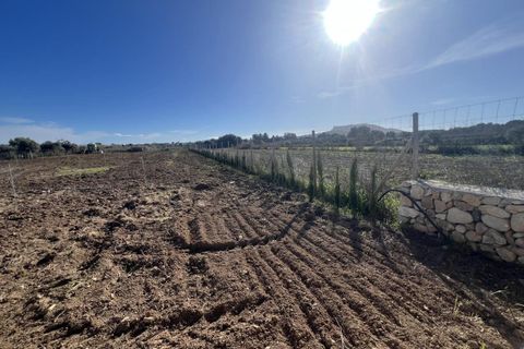 Finca a Algaida, Mallorca, Algaida - € 380.000 | Ref: 924 - foto 6