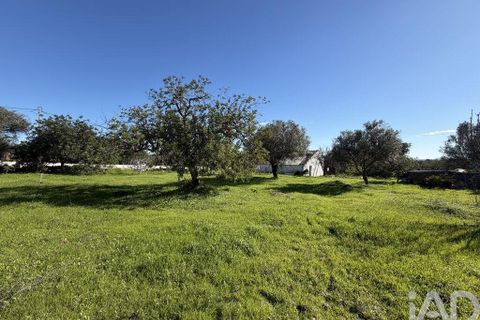 Byhus i Olhao, Faro, Olhao - € 390.000 | Ref: 146349 - foto 9