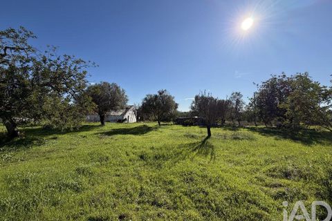 Byhus i Olhao, Faro, Olhao - € 390.000 | Ref: 146349 - foto 10