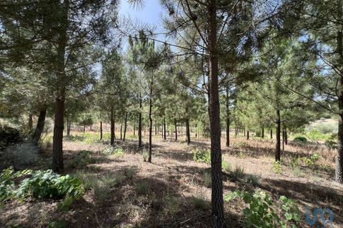 Terra a Sernancelhe, Viseu, Sernancelhe - € 66.000 | Ref: 147142 - foto 2
