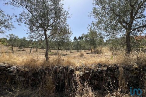 Terra a Sernancelhe, Viseu, Sernancelhe - € 66.000 | Ref: 147142 - foto 4