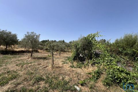 Terra a Sernancelhe, Viseu, Sernancelhe - € 66.000 | Ref: 147142 - foto 5
