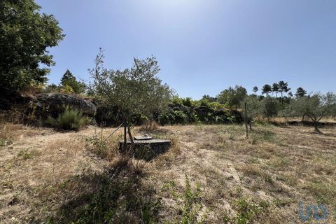Terra a Sernancelhe, Viseu, Sernancelhe - € 66.000 | Ref: 147142 - foto 6