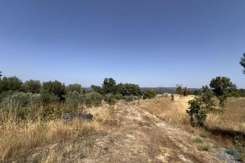 Terra a Sernancelhe, Viseu, Sernancelhe - € 66.000 | Ref: 147142 - foto 7