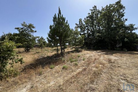 Terra a Sernancelhe, Viseu, Sernancelhe - € 66.000 | Ref: 147142 - foto 9