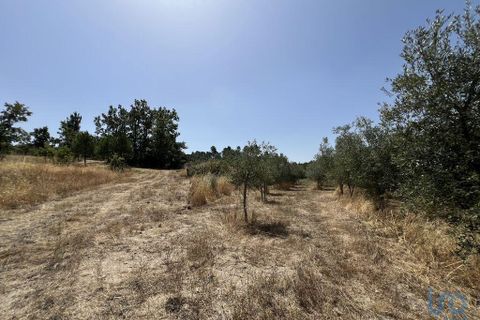 Terra a Sernancelhe, Viseu, Sernancelhe - € 66.000 | Ref: 147142 - foto 10