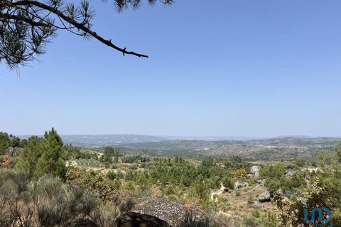Terra a Sernancelhe, Viseu, Sernancelhe - € 66.000 | Ref: 147142 - foto 11