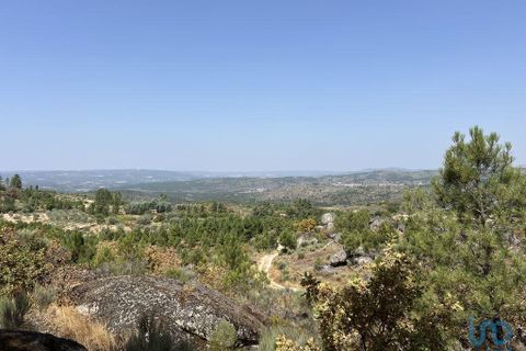 Terra a Sernancelhe, Viseu, Sernancelhe - € 66.000 | Ref: 147142 - foto 12