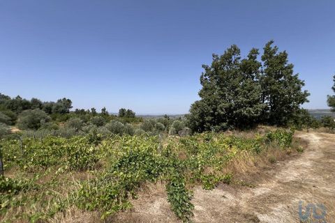 Terra a Sernancelhe, Viseu, Sernancelhe - € 66.000 | Ref: 147142 - foto 13