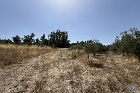 Terra a Sernancelhe, Viseu, Sernancelhe - € 66.000 | Ref: 147142 - foto 14
