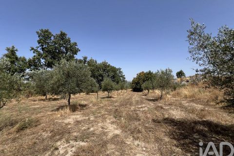 Terra a Sernancelhe, Viseu, Sernancelhe - € 66.000 | Ref: 147142 - foto 15