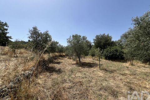 Terra a Sernancelhe, Viseu, Sernancelhe - € 66.000 | Ref: 147142 - foto 16