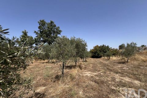Terra a Sernancelhe, Viseu, Sernancelhe - € 66.000 | Ref: 147142 - foto 17
