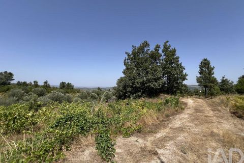 Terra a Sernancelhe, Viseu, Sernancelhe - € 66.000 | Ref: 147142 - foto 18