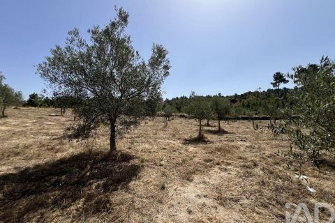 Terra a Sernancelhe, Viseu, Sernancelhe - € 66.000 | Ref: 147142 - foto 19