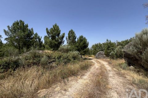 Terra a Sernancelhe, Viseu, Sernancelhe - € 66.000 | Ref: 147142 - foto 20