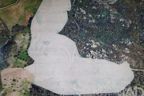 Terra a Sernancelhe, Viseu, Sernancelhe - € 66.000 | Ref: 147142 - foto 21
