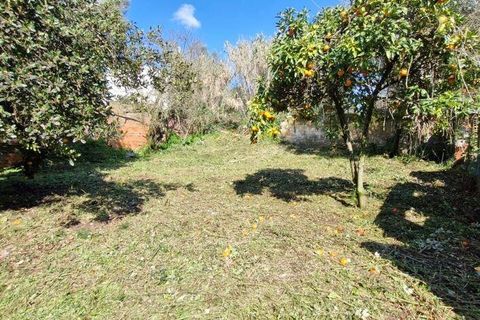 Byhus i Rio Maior, Santarem, Rio Maior - € 194.950 | Ref: 132905 - foto 29