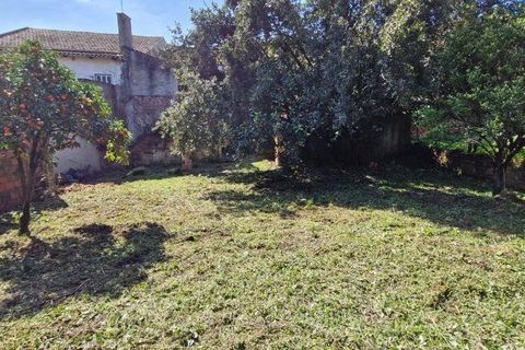 Byhus i Rio Maior, Santarem, Rio Maior - € 194.950 | Ref: 132905 - foto 27