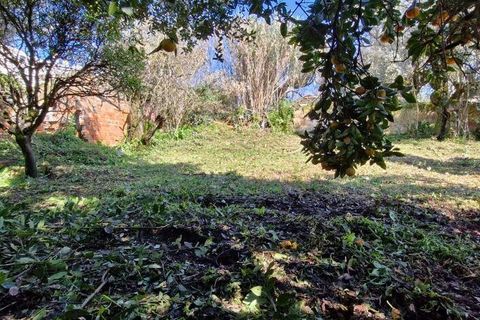 Byhus i Rio Maior, Santarem, Rio Maior - € 194.950 | Ref: 132905 - foto 28