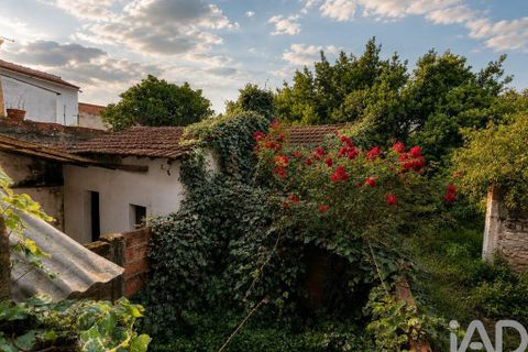 Byhus i Rio Maior, Santarem, Rio Maior - € 194.950 | Ref: 132905 - foto 20
