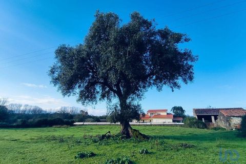 Byhus i Valenca, Viana do Castelo, Valenca - € 200.000 | Ref: 132628 - foto 7