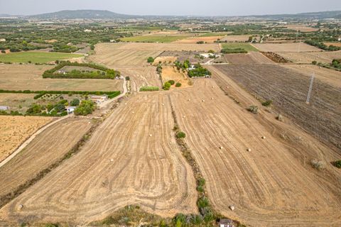 Terra a Manacor, Mallorca, Manacor - € 145.000 | Ref: 05EVML018/3010 - foto 21