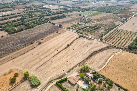 Terra a Manacor, Mallorca, Manacor - € 145.000 | Ref: 05EVML018/3010 - foto 22