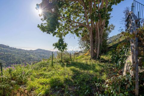 Villa i Vallebona, Imperia, Vallebona - € 425.000 | Ref: 5403 - foto 2