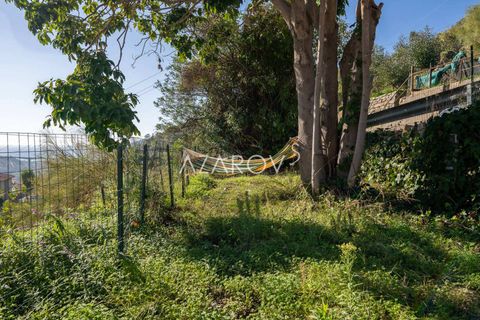 Villa i Vallebona, Imperia, Vallebona - € 425.000 | Ref: 5403 - foto 3
