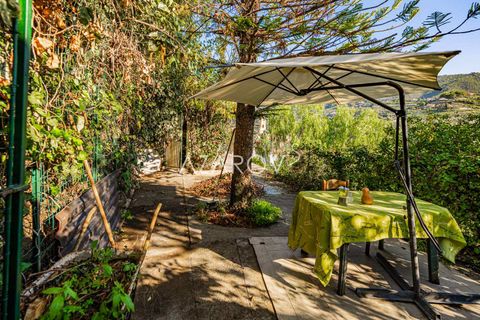 Villa i Vallebona, Imperia, Vallebona - € 425.000 | Ref: 5403 - foto 4