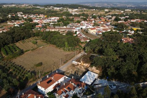 Helårsgrund i Leiria, Leiria, Leiria - € 50.000 | Ref: C0381-00796 - foto 14