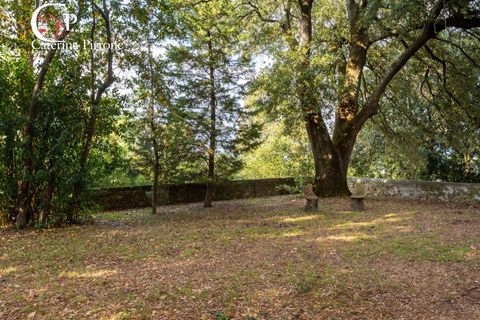 Villa i Rignano sull'Arno, Florence, Rignano sull'Arno - € 1.100.000 | Ref: VILL224 - foto 6