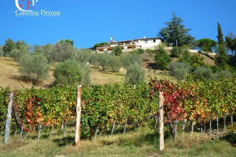 Helårsgrund i Dicomano, Florence, Dicomano - € 1.200.000 | Ref: GA03C - foto 7