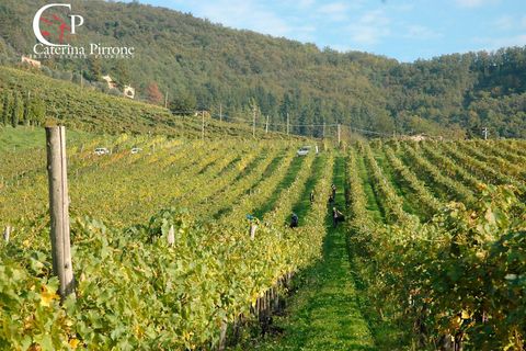 Helårsgrund i Dicomano, Florence, Dicomano - € 1.200.000 | Ref: GA03C - foto 8