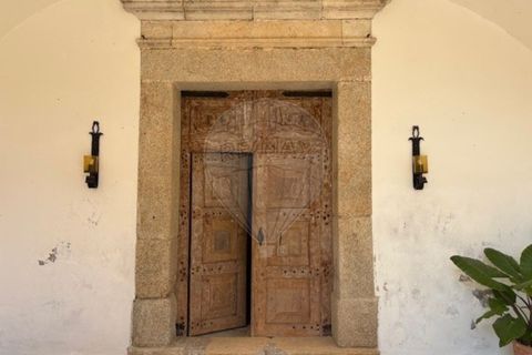 Villa a Chamusca, Santarem, Chamusca - € 3.600.000 | Ref: VA-125501029-134 - foto 3