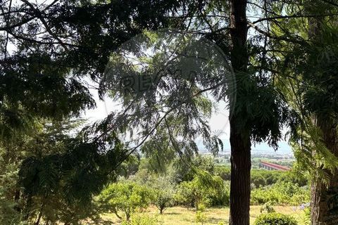 Villa a Chamusca, Santarem, Chamusca - € 3.600.000 | Ref: VA-125501029-134 - foto 6