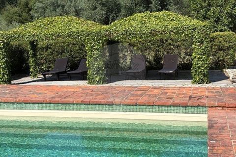 Villa a Chamusca, Santarem, Chamusca - € 3.600.000 | Ref: VA-125501029-134 - foto 14