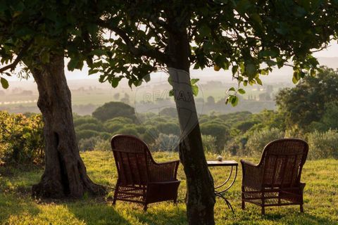 Villa a Chamusca, Santarem, Chamusca - € 3.600.000 | Ref: VA-125501029-134 - foto 16