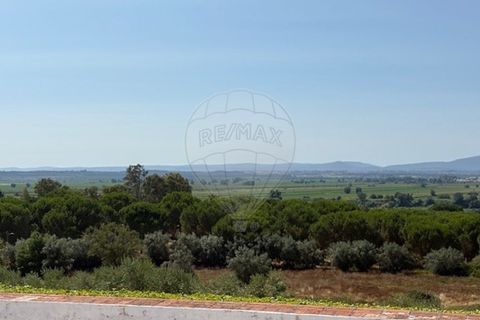 Villa a Chamusca, Santarem, Chamusca - € 3.600.000 | Ref: VA-125501029-134 - foto 21
